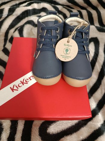 Chaussure bébé kikckers