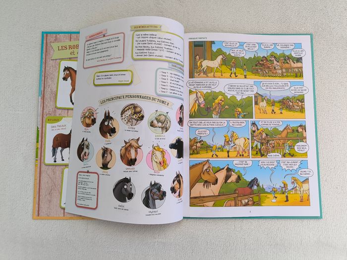 Livre À cheval 2 Delcourt - photo numéro 4