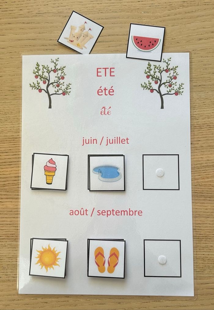 Lot 4 fiches Montessori : Les saisons - photo numéro 8