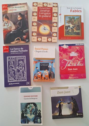 Lot de 8 livres étudiés au collège