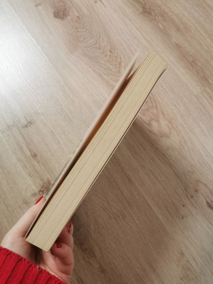 Le Roman de la Saxe, livre de Vladimir Fédorovski - photo numéro 5