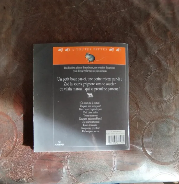 Livre pour enfant - photo numéro 4