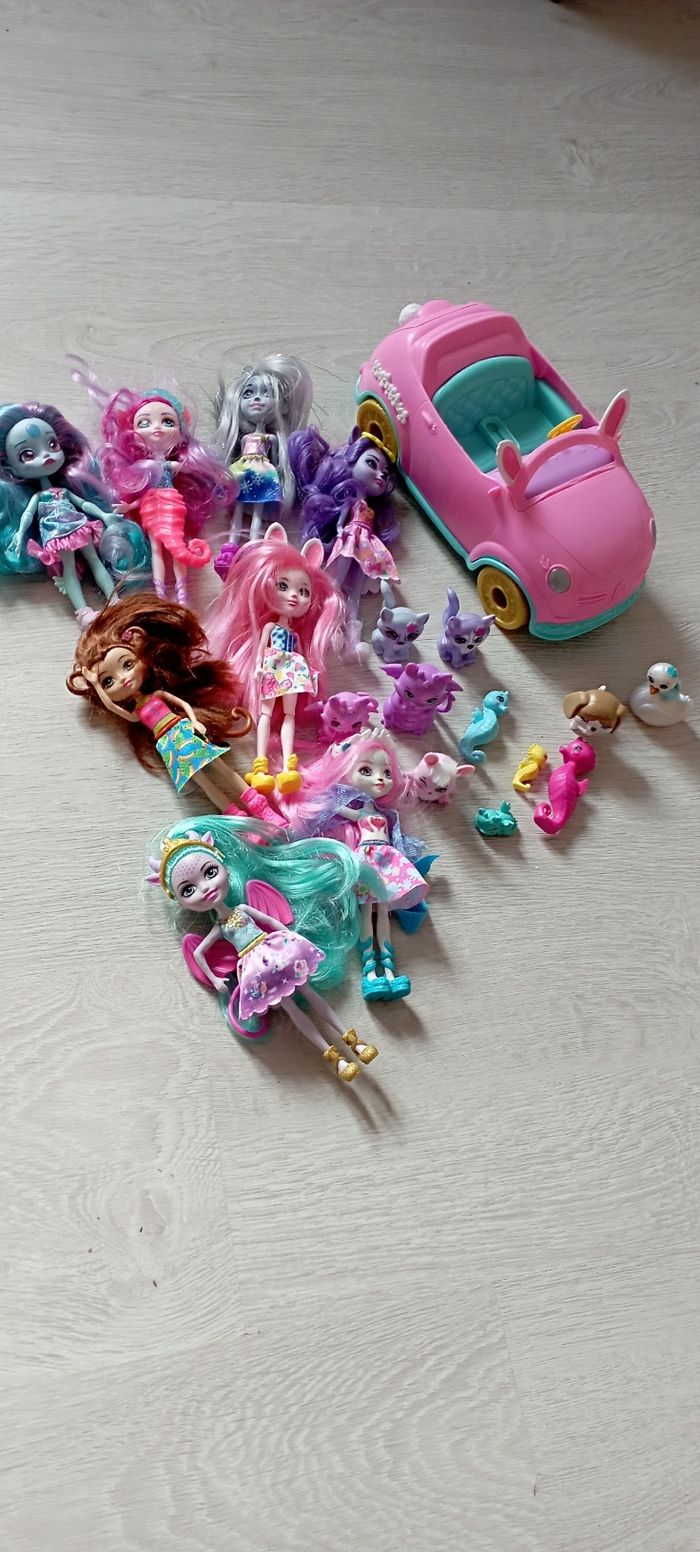 Lot enchantimals - photo numéro 6