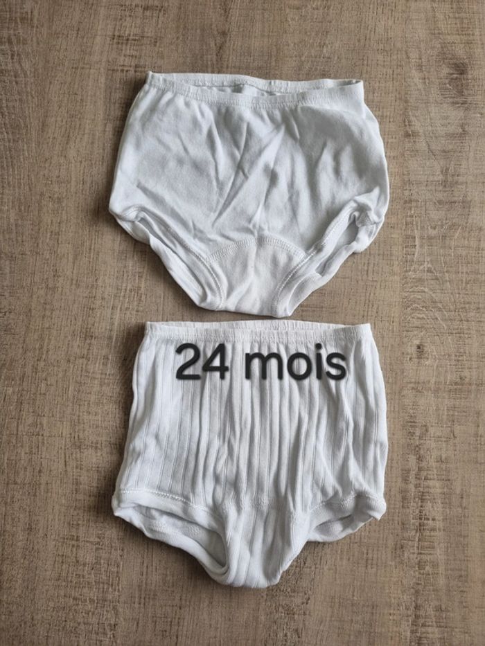 Lot de 2 culottes de couche
