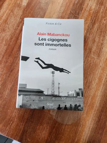 Livre : Les cigognes sont immortelles