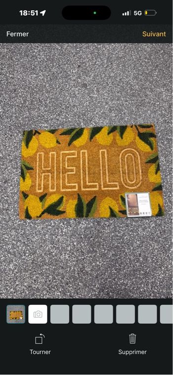 Paillaisson citron  Home collection 40X60 cm