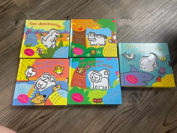 Lot livres couleurs magiques