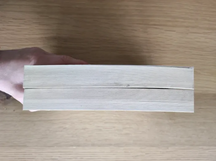 Lot Livre le chinois - photo numéro 5