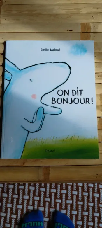 Livre On dit bonjour