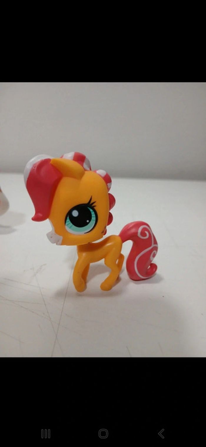 Littlest petshop - photo numéro 17