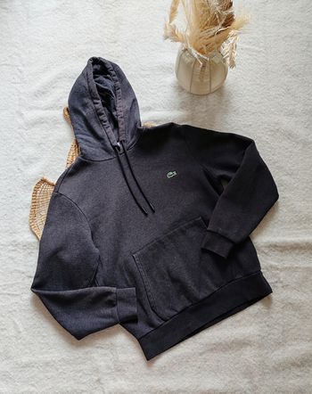 Sweat - Lacoste