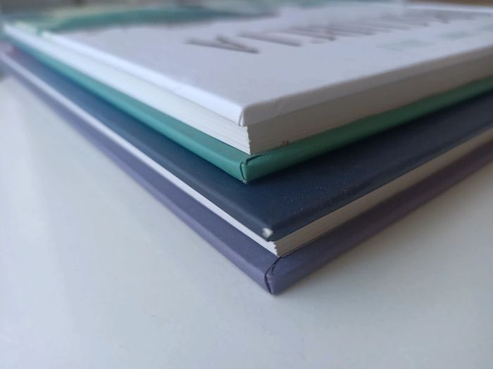 BD obscurcia chapitres 1 et 2 (édition delcourt) - photo numéro 7