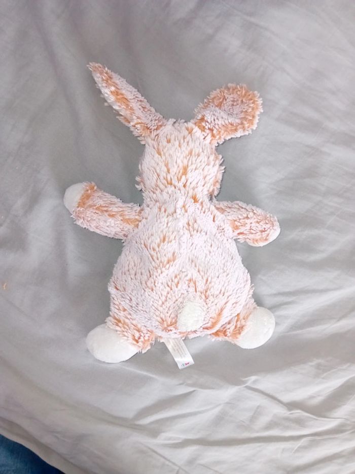 Lapin - photo numéro 3