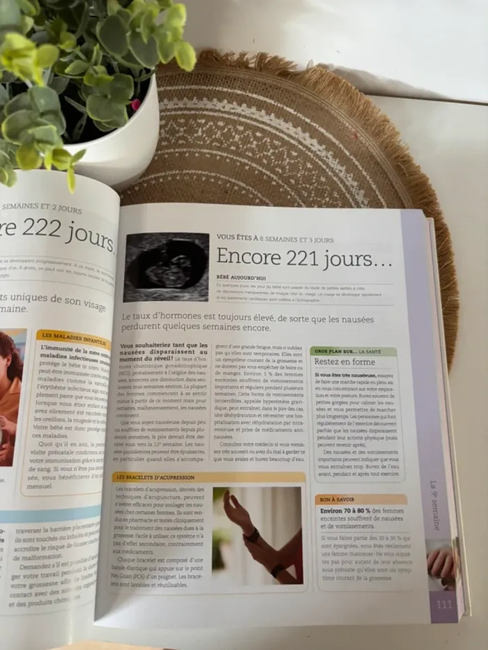 Votre grossesse jour après jour - photo numéro 3