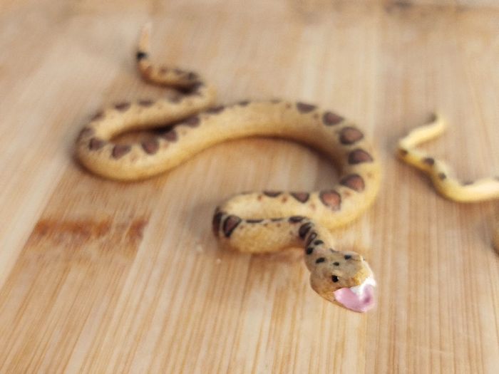 Figurine cycle de vie du serpent - photo numéro 5