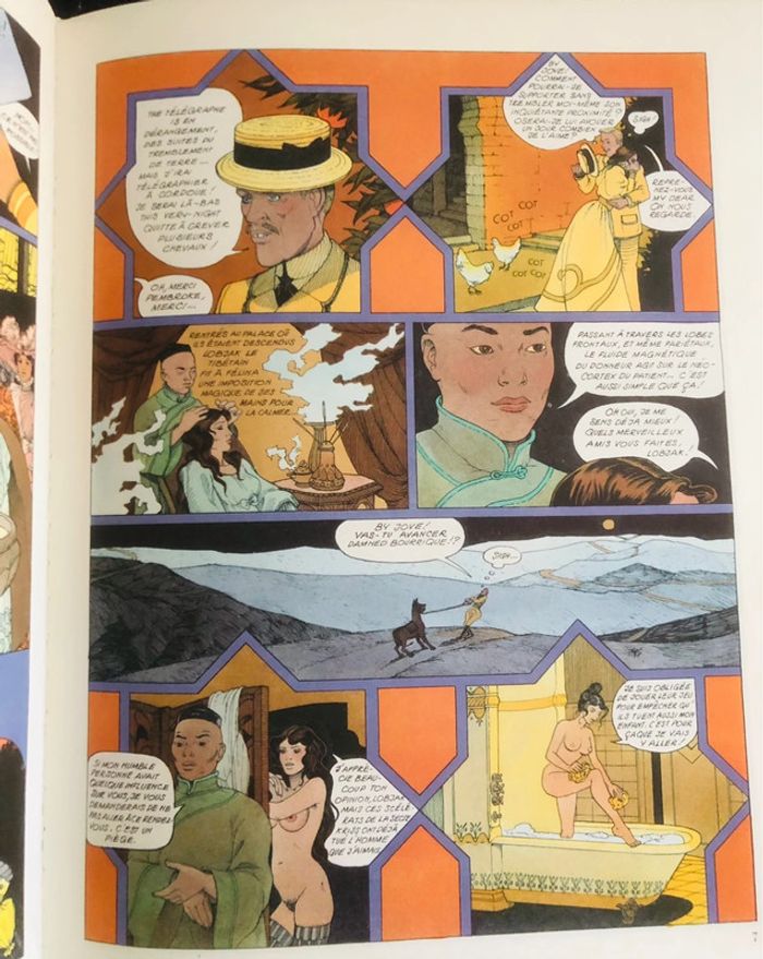 Felina - photo numéro 4