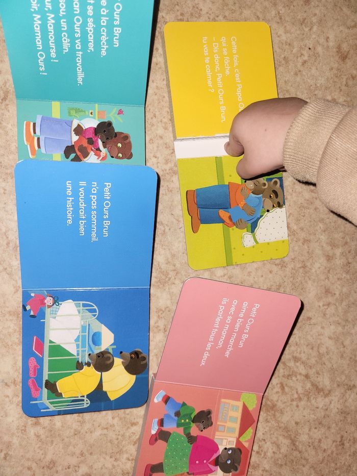 Petit ours brun - photo numéro 3