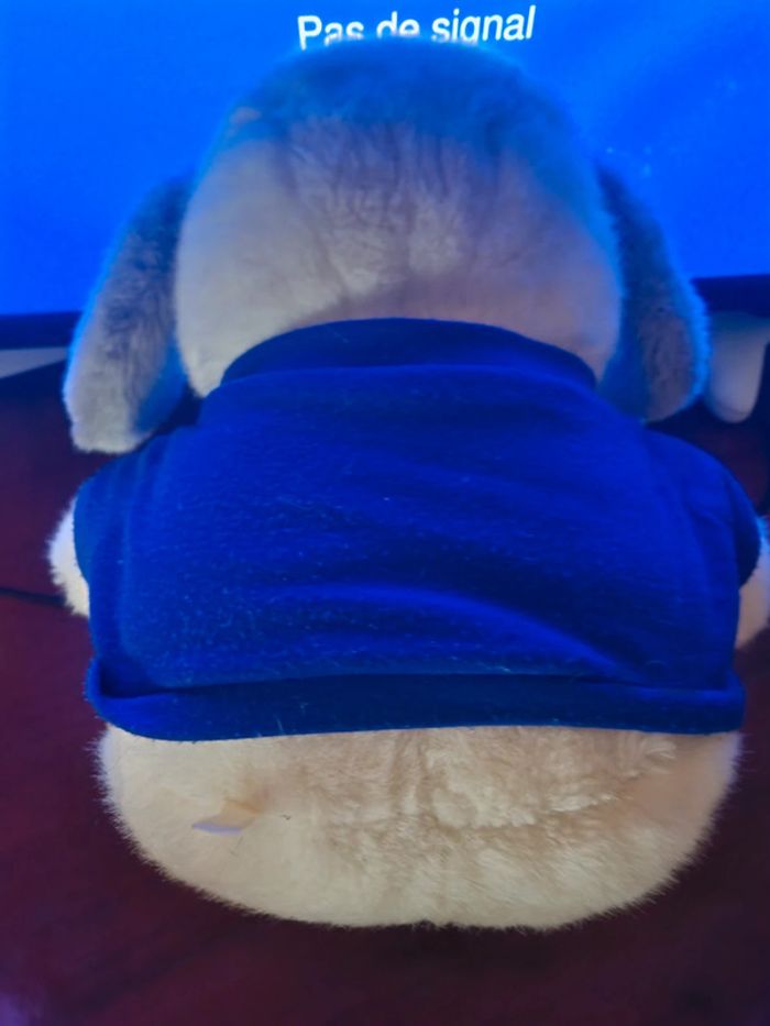 chien tommi en peluche - photo numéro 4