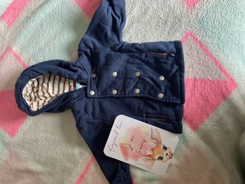 Veste