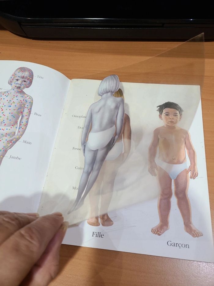 Cache cache avec corps humain - photo numéro 6