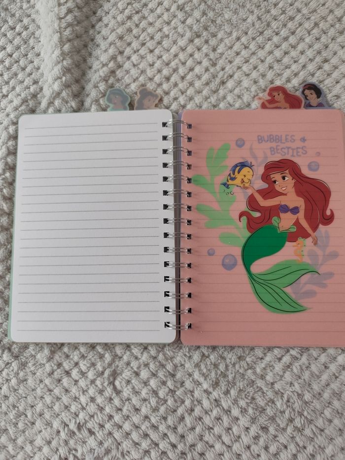 Carnet Princesse - photo numéro 4