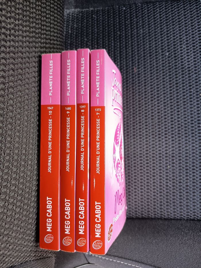 Livre d’une princesse - photo numéro 3