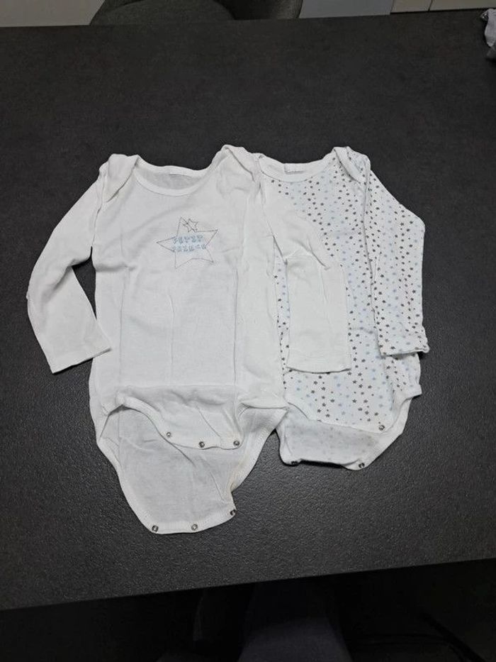 Lot 2 bodies