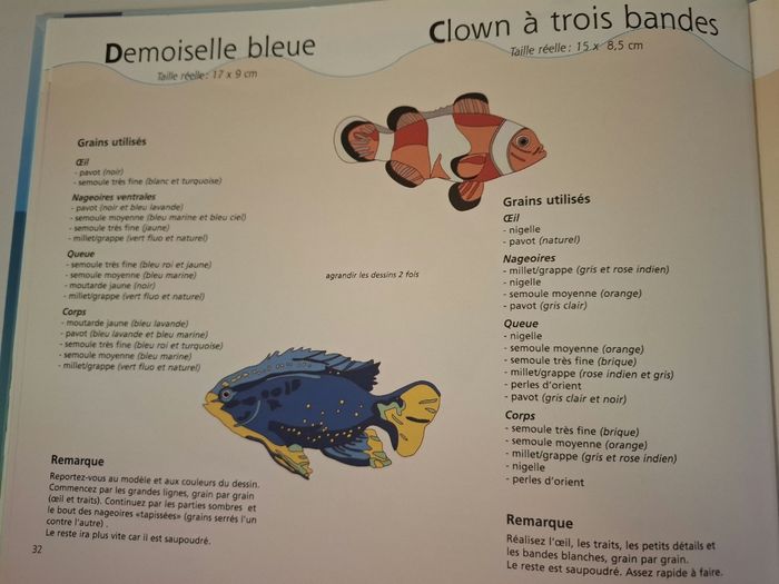 Créer avec des graines - La mer et les poissons - photo numéro 4