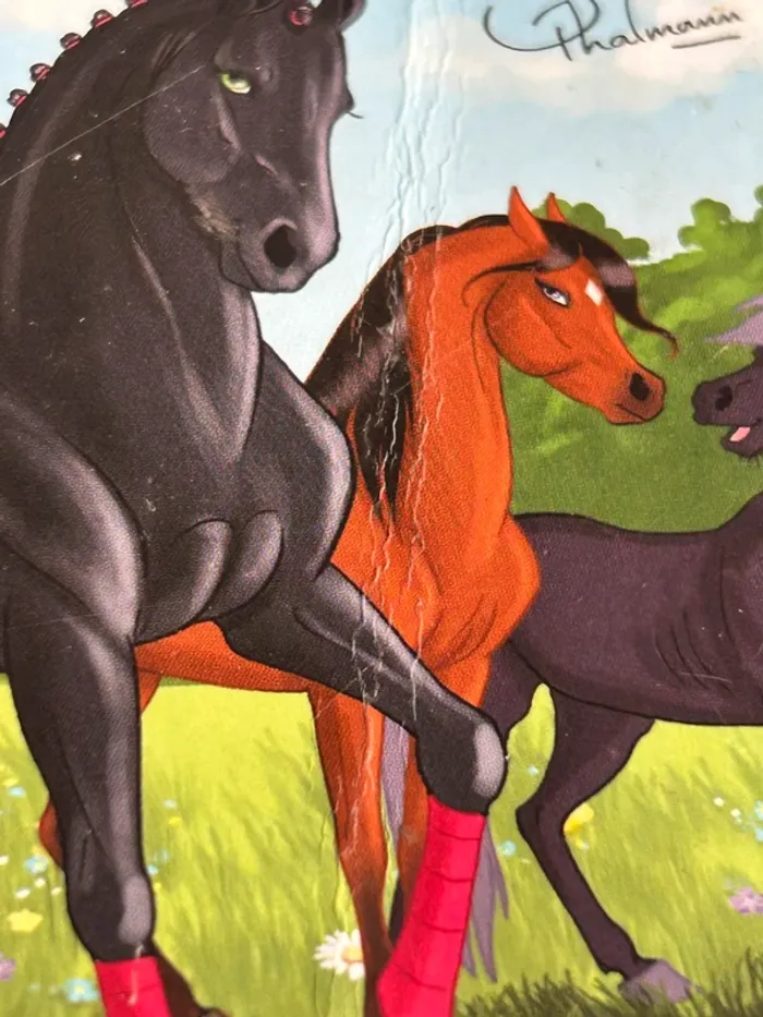 Lot de livres mes amis les chevaux - photo numéro 2