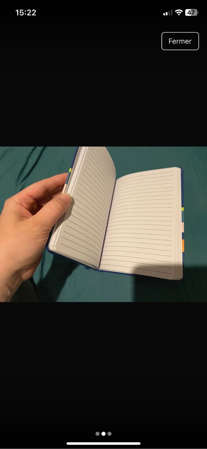 Cahier de note roi lion - photo numéro 2