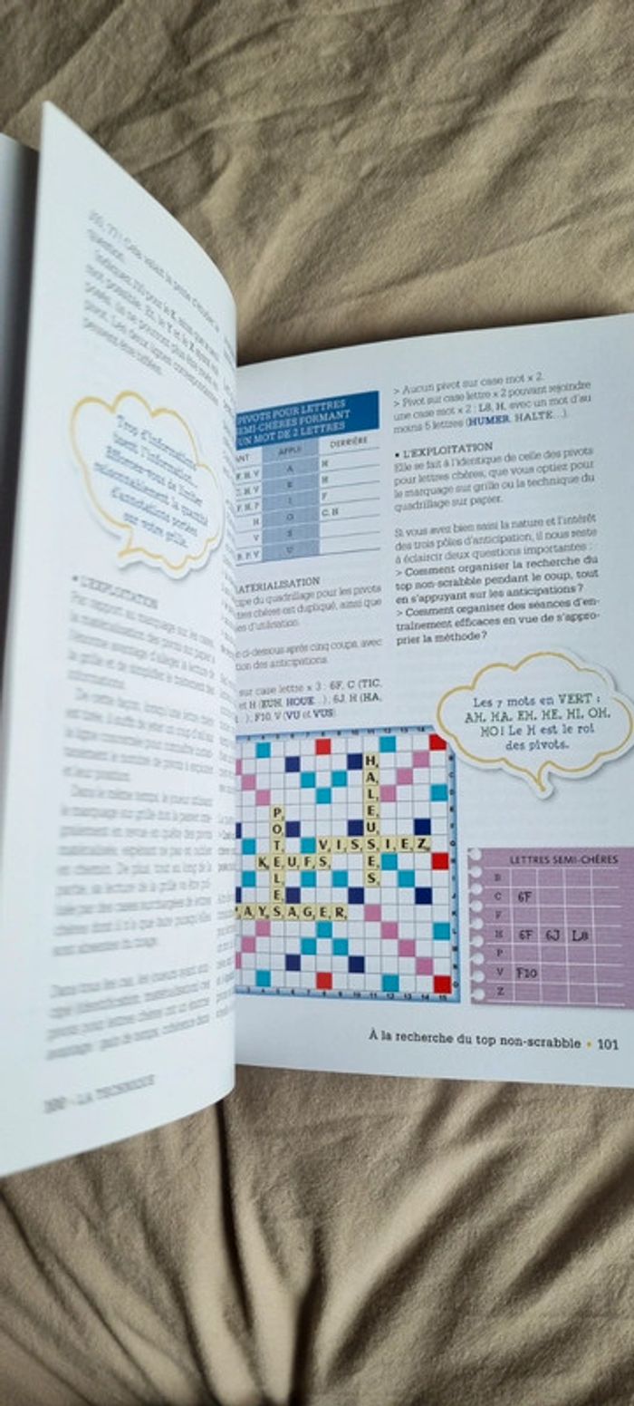 Scrabble - La méthode Maniquant
Franck Maniquant - photo numéro 6