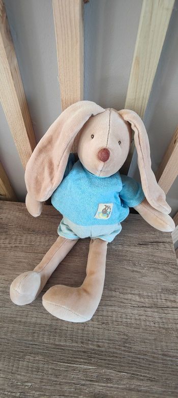 Lapin moulin roty