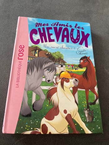 Livre bibliothèque rose mes amis les chevaux tome 31