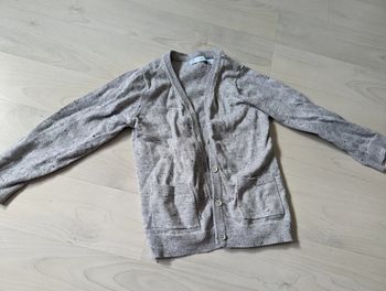 Gilet gris