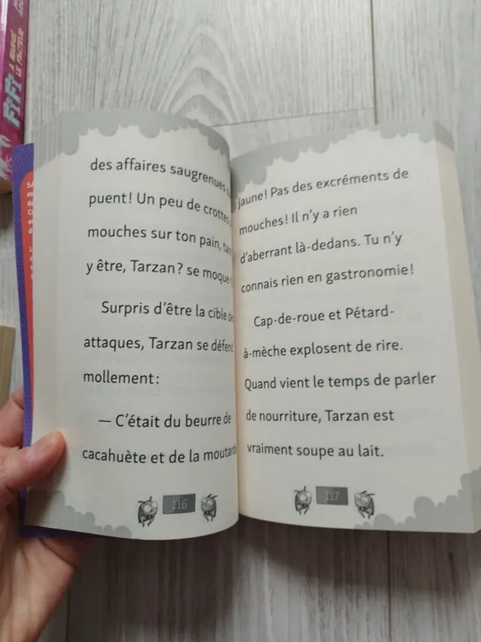 Livre gris caractère - photo numéro 2