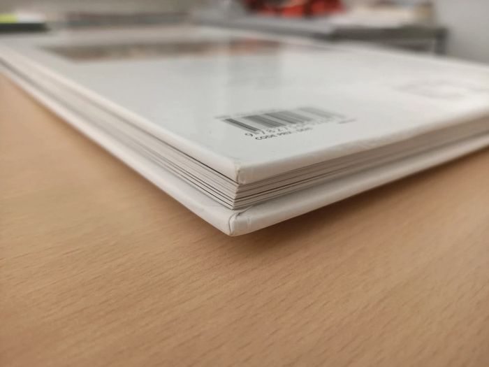 BD au fil de l'art volume 1 (Ivana & Gradimir smudja / éditions Delcourt) - photo numéro 3