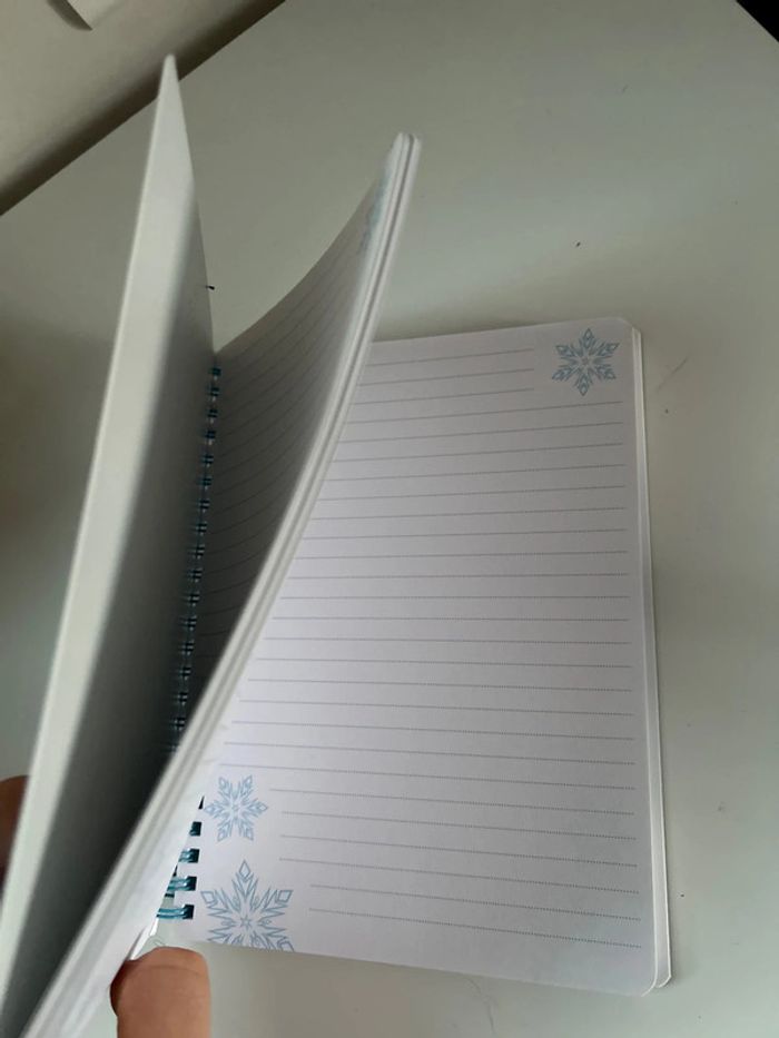 Carnet reine des neiges - photo numéro 2