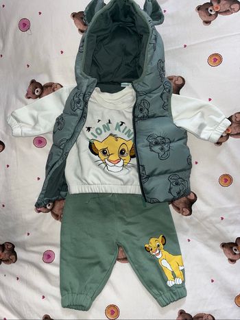 Ensemble roi lion bébé