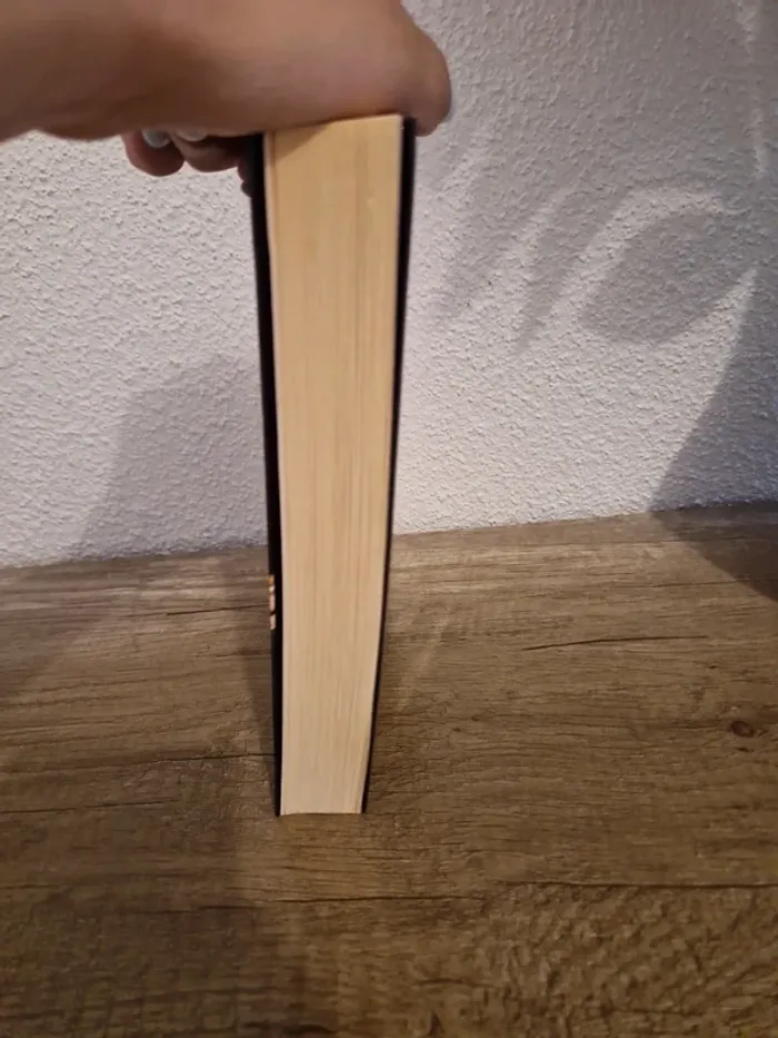 📚 livre la ville des enfants perdus - photo numéro 3