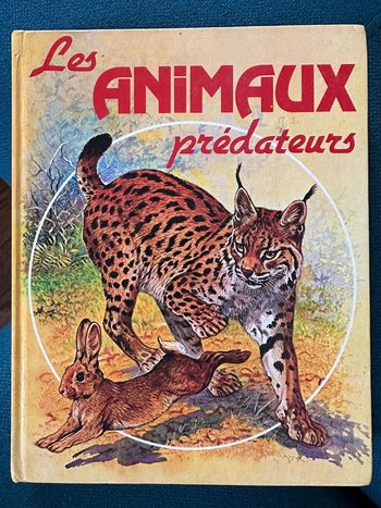1981 Livre ancien rare Les Animaux Prédateurs Robert Dallet Lito Paris illustrateur Hermès