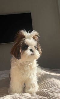 profil