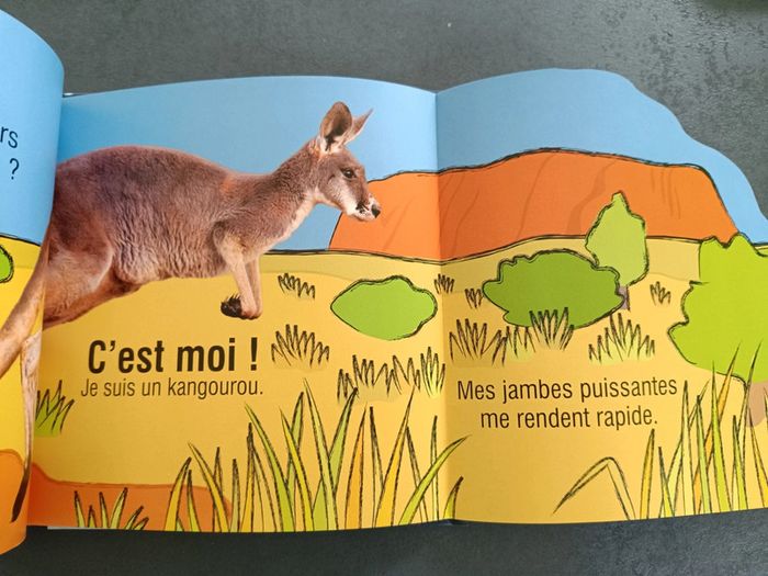 Livre enfant devine qui est le plus rapide - photo numéro 3