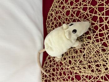 Doudou rat IKEA