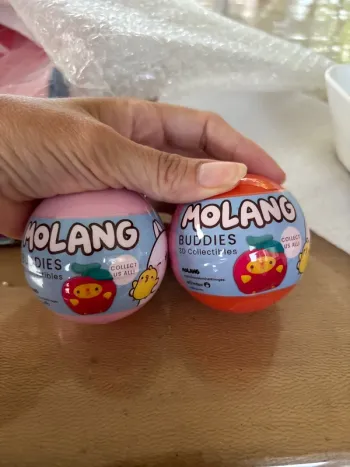 Lot de deux buddies molang
