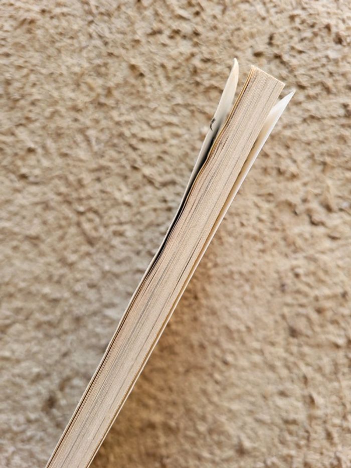 Choix de poésie Verlaine - Les Classiques Larousse - photo numéro 3