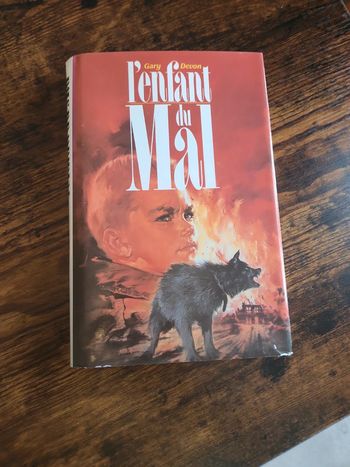 Livre : L'enfant du mal
