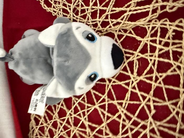 Peluche Chiot Husky Gris Cutetitos