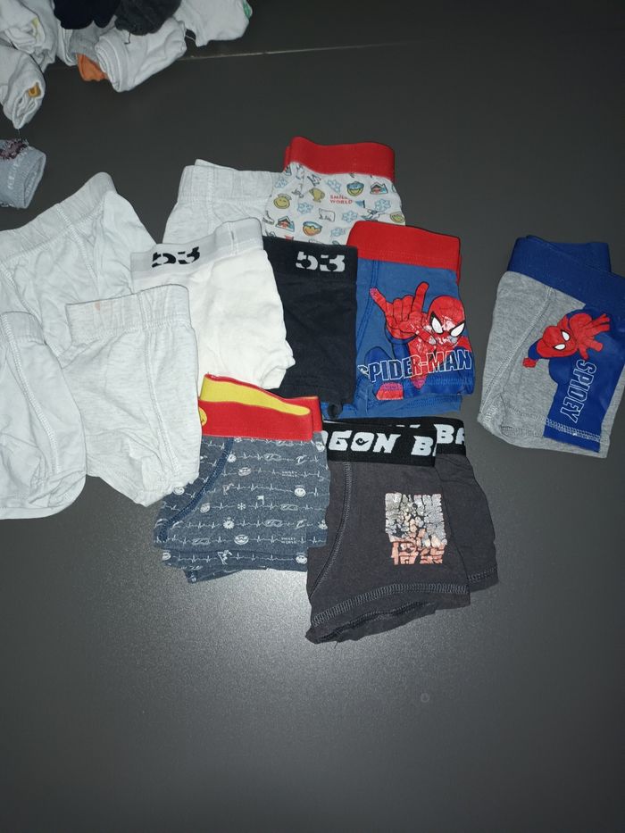 boxer