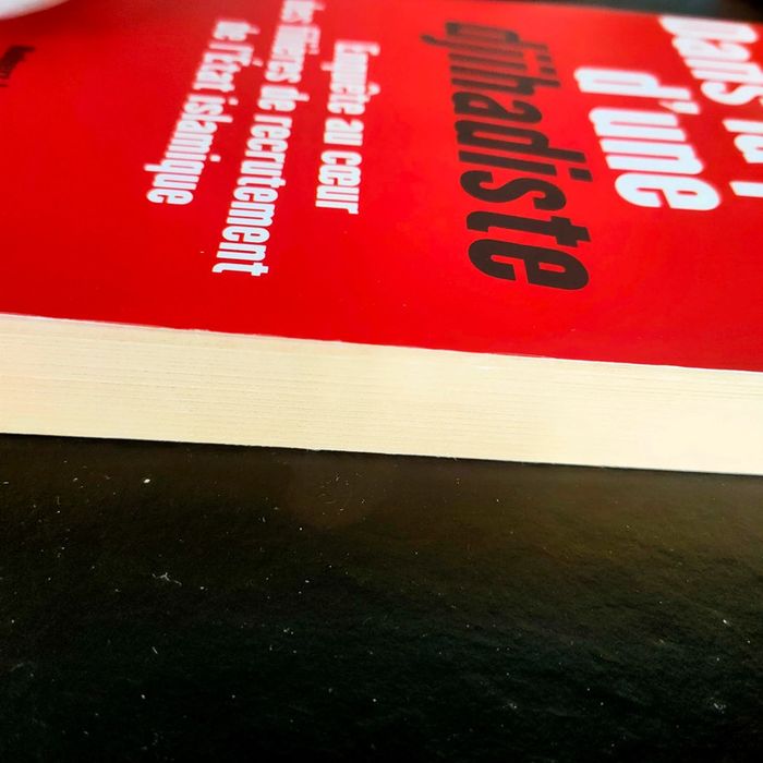 Livre dans la peau d'une djihadiste. Anna erelle - photo numéro 3