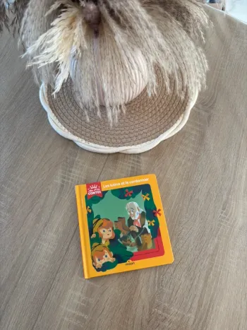 Livre les lutins et le cordonnier